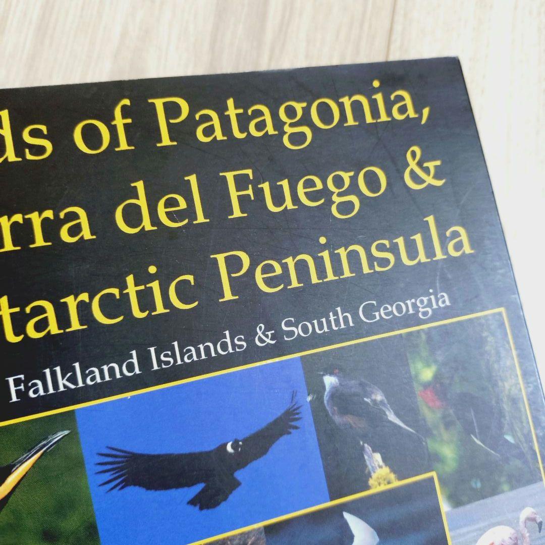 パタゴニア ティエラ・デル・フエゴ 南極半島の鳥 鳥類の写真ガイド