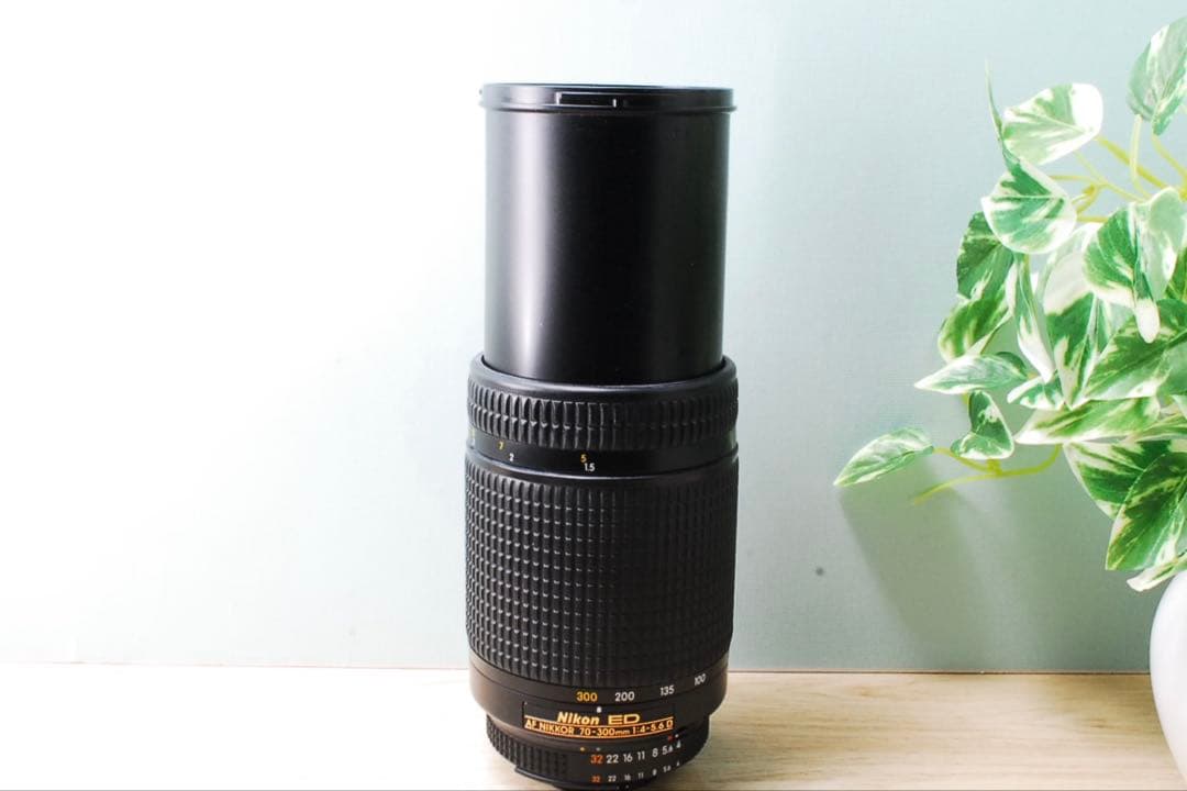 超望遠⭐️Nikon AF NIKKOR 70-300mm 4-5.6 D⭐️ニコン