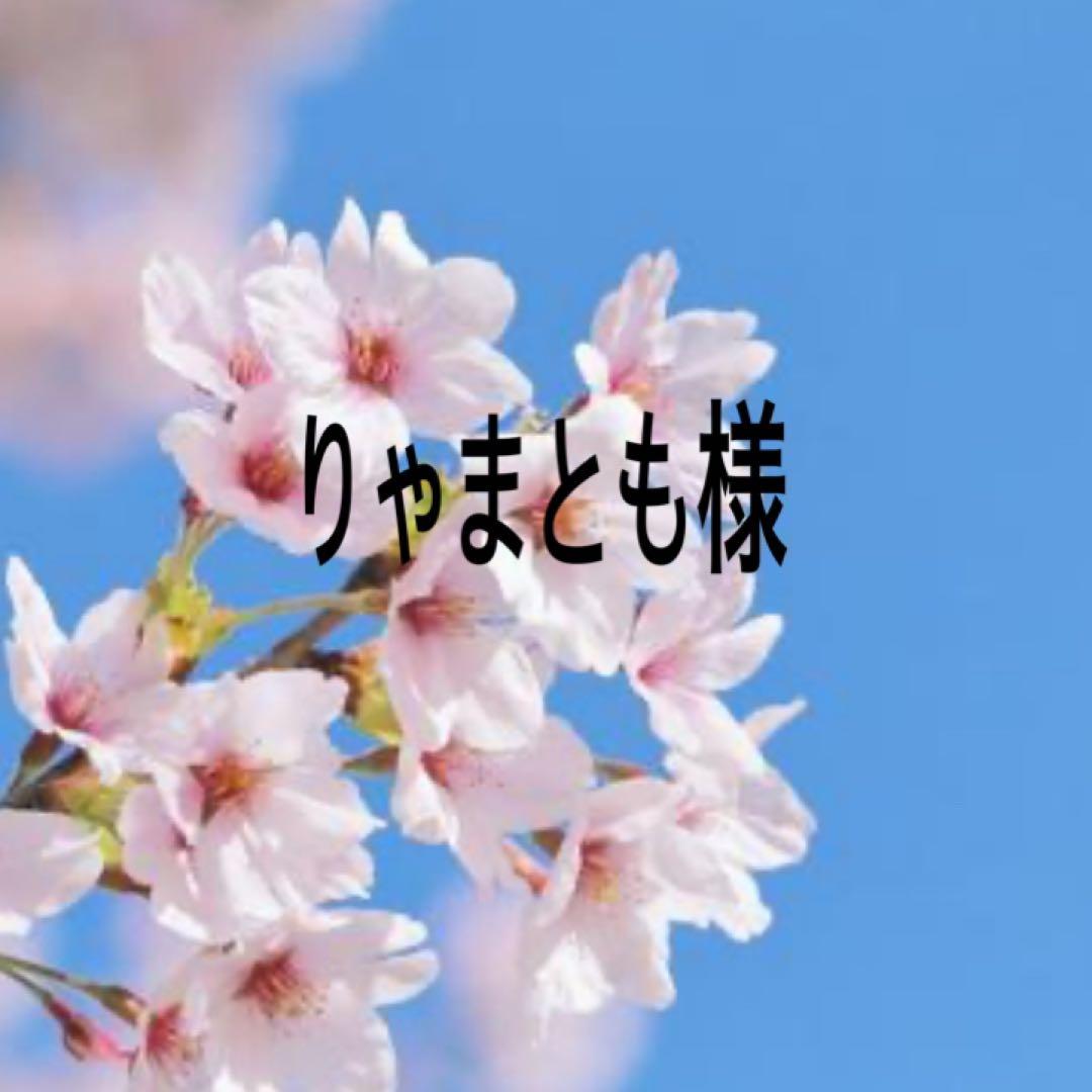 りゃまとも トリックスター / Ninja ZX-6R (24-26)スポーツコンバートマフラー