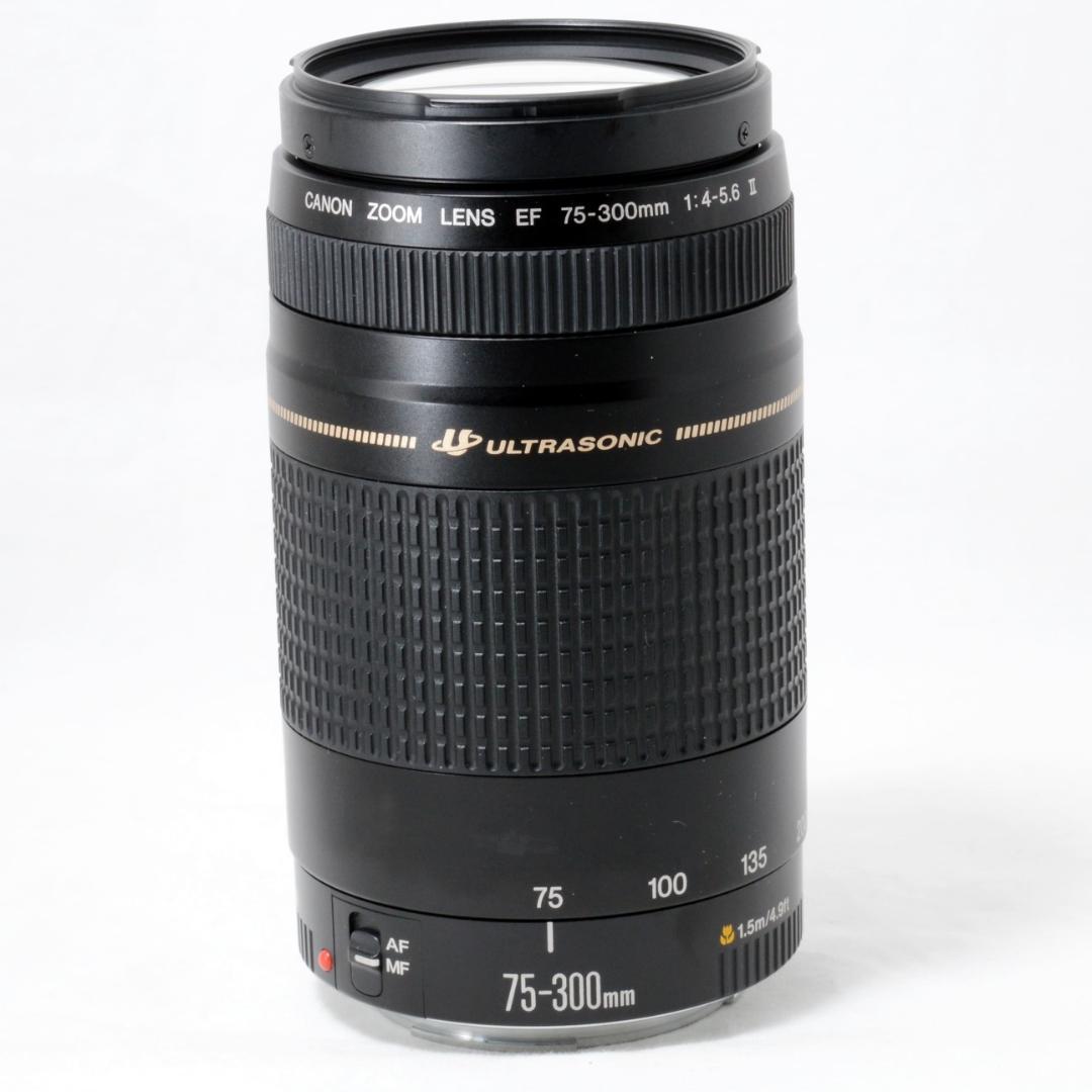 ⭐️実用品⭐️Canon キャノン EF 75-300mm F4-5.6ⅡUSM