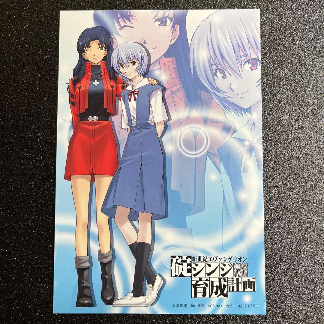 エヴァンゲリオン 碇シンジ 育成計画 特典 イラストカード 綾波レイ