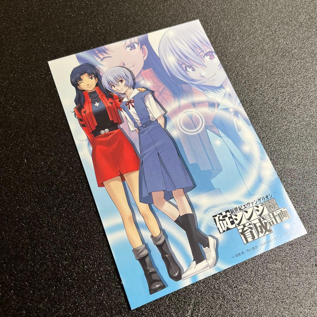 エヴァンゲリオン 碇シンジ 育成計画 特典 イラストカード 綾波レイ