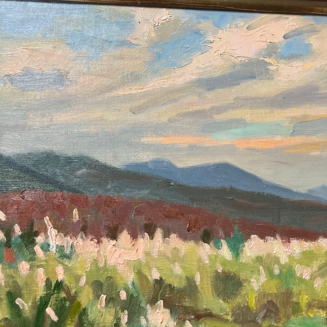 野村光司の作品「蓼科高原」