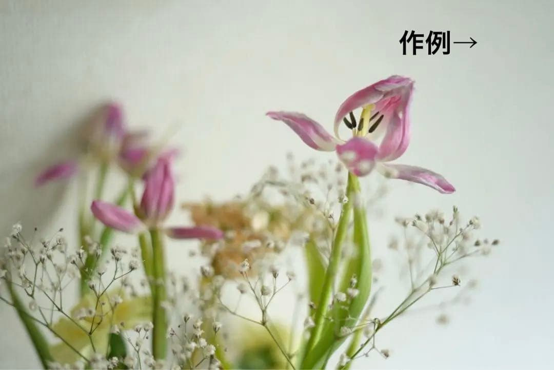 SONY 50mm単焦点レンズ　SEL50F18F