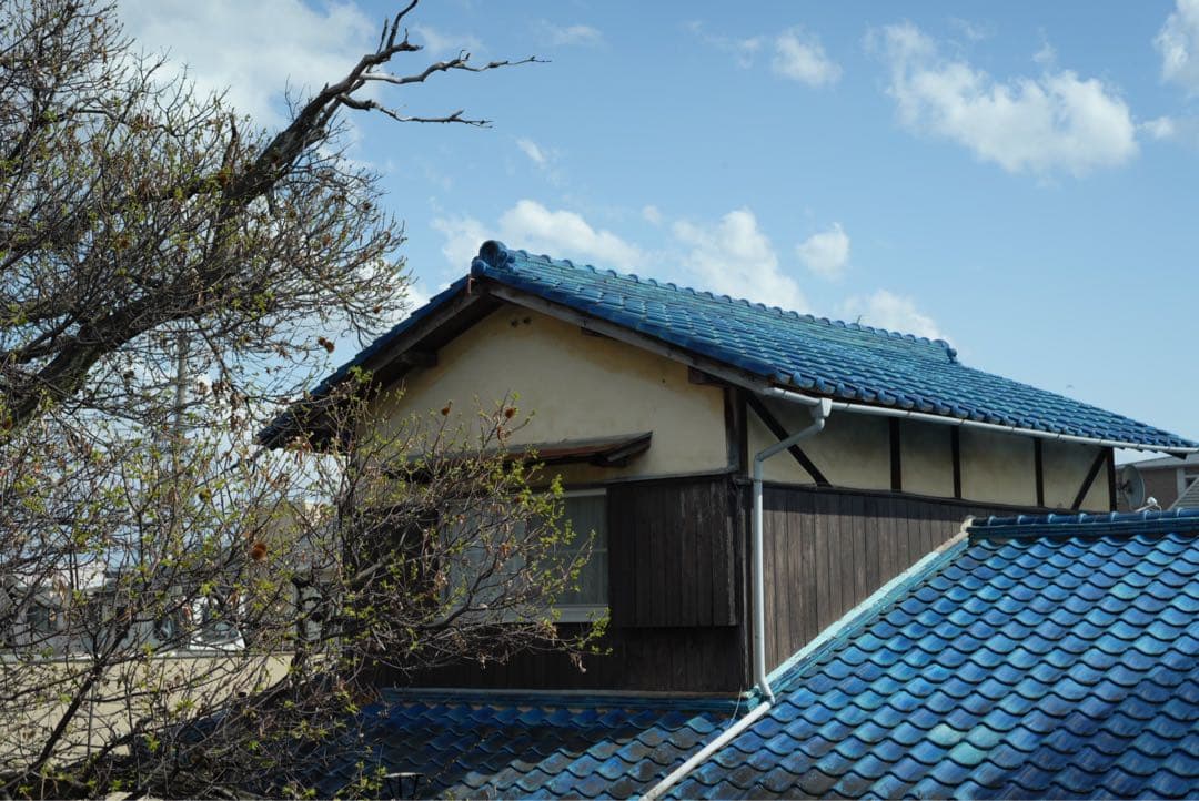 SONY 50mm単焦点レンズ　SEL50F18F