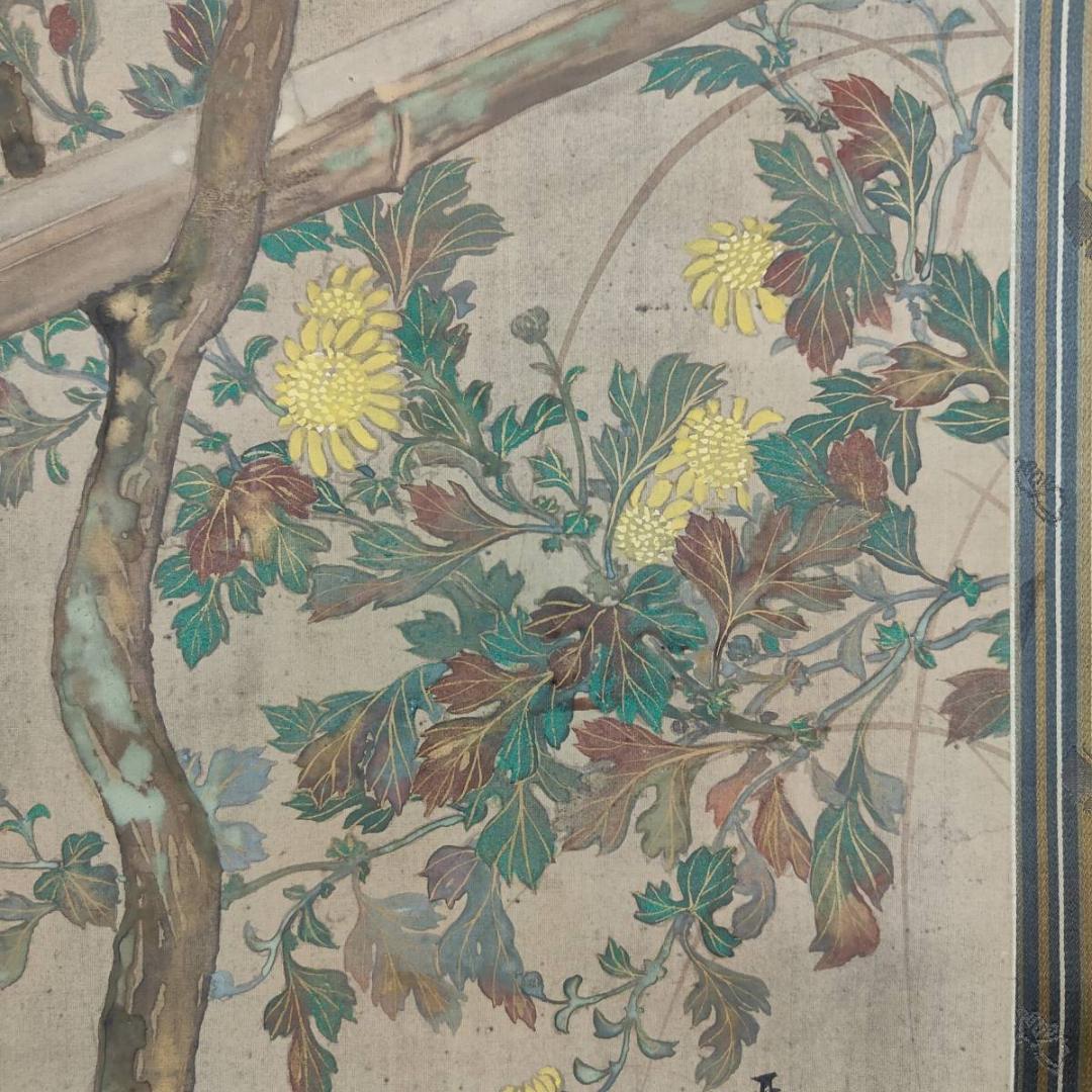 不詳/琴泉/菊に鴬図/小禽図/花鳥/布袋屋掛軸A-440 - メルカリ