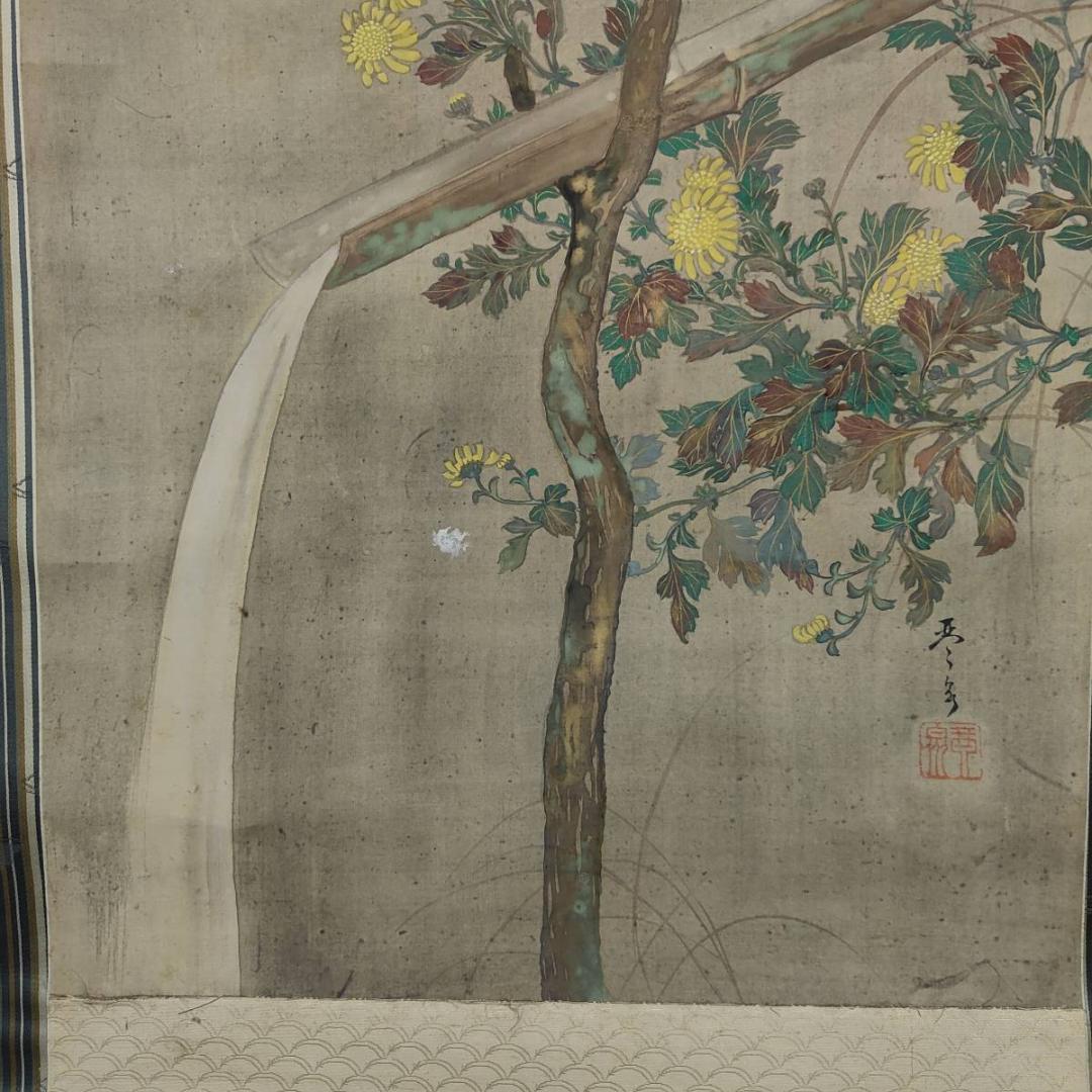 不詳/琴泉/菊に鴬図/小禽図/花鳥/布袋屋掛軸A-440 - メルカリ