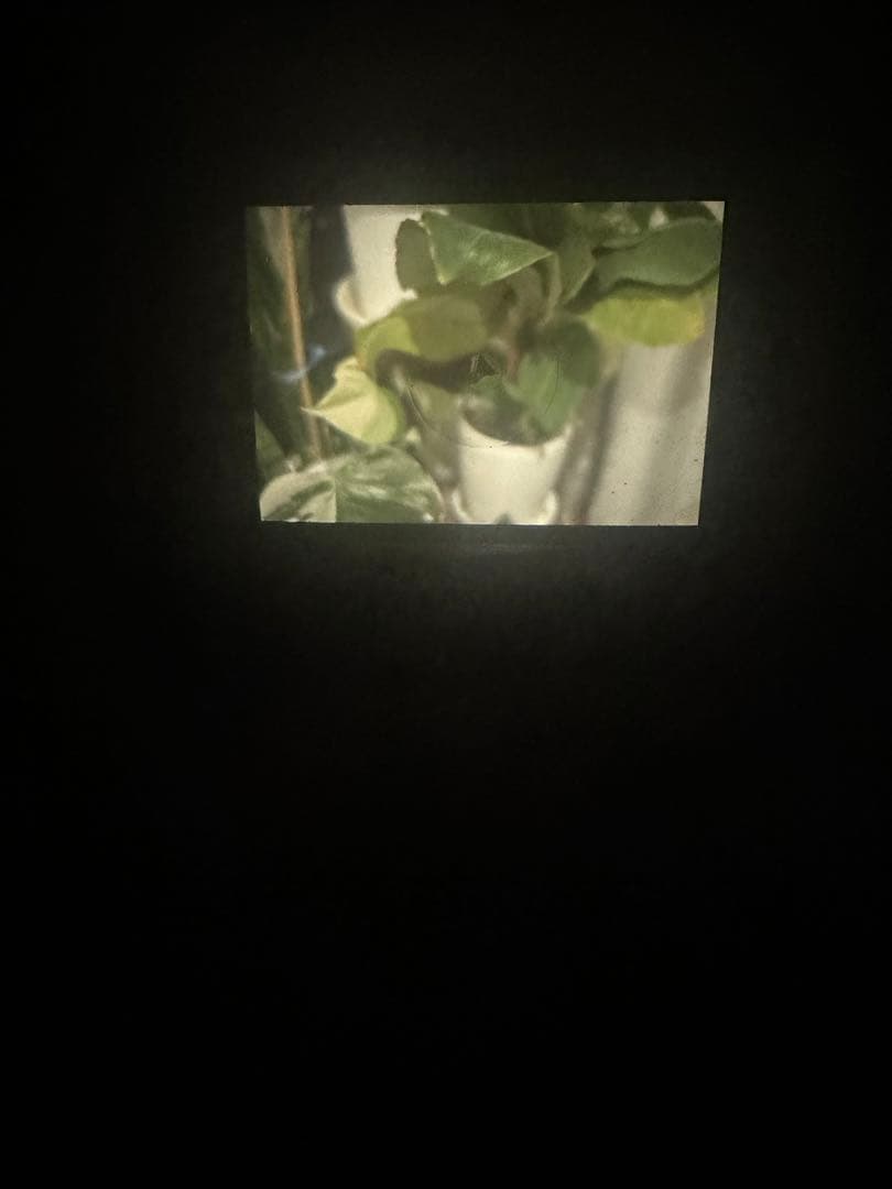 美品 Nikon F KOGAKUTOKYONIPPON 50mm f2レンズ