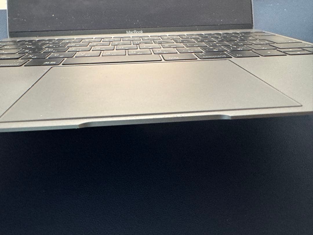 【ジャンク】Macbook 12-inch 8G 256GB