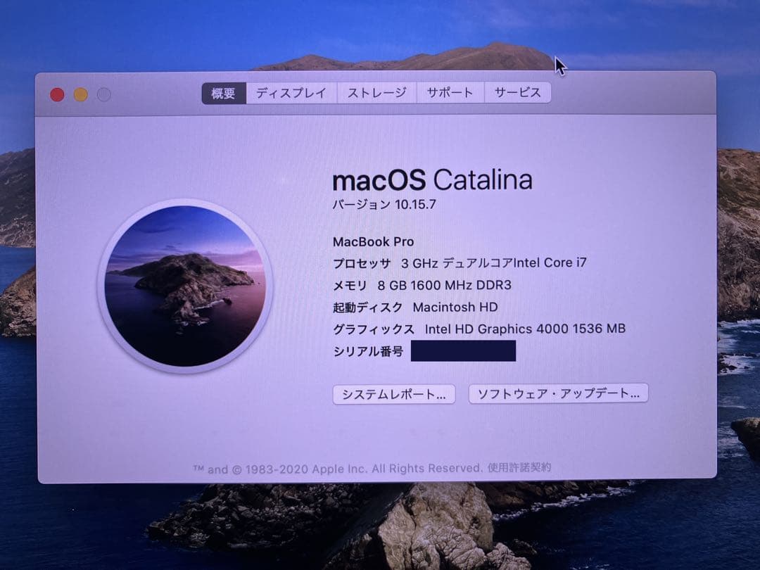 MacBook Pro (Retina13インチ 2013) SSD 768GB