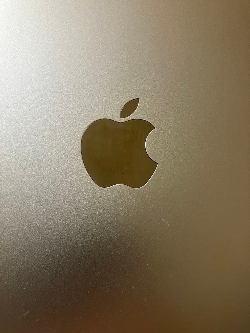 Apple iPad (モデルA1538) ゴールド