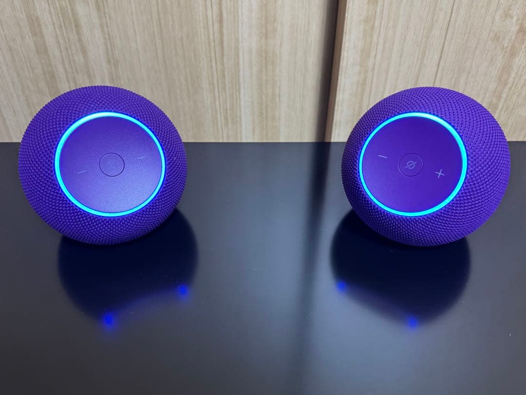 Amazon Echo Dot Max アメジスト【2台セット】