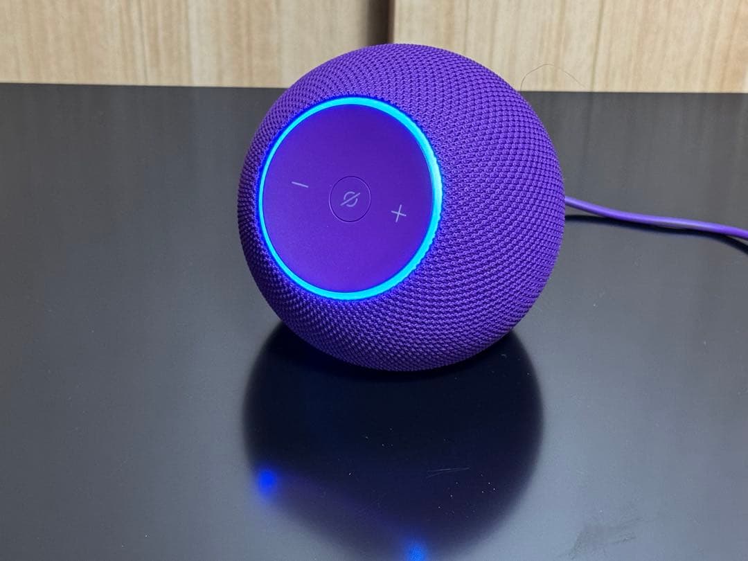 Amazon Echo Dot Max アメジスト【2台セット】