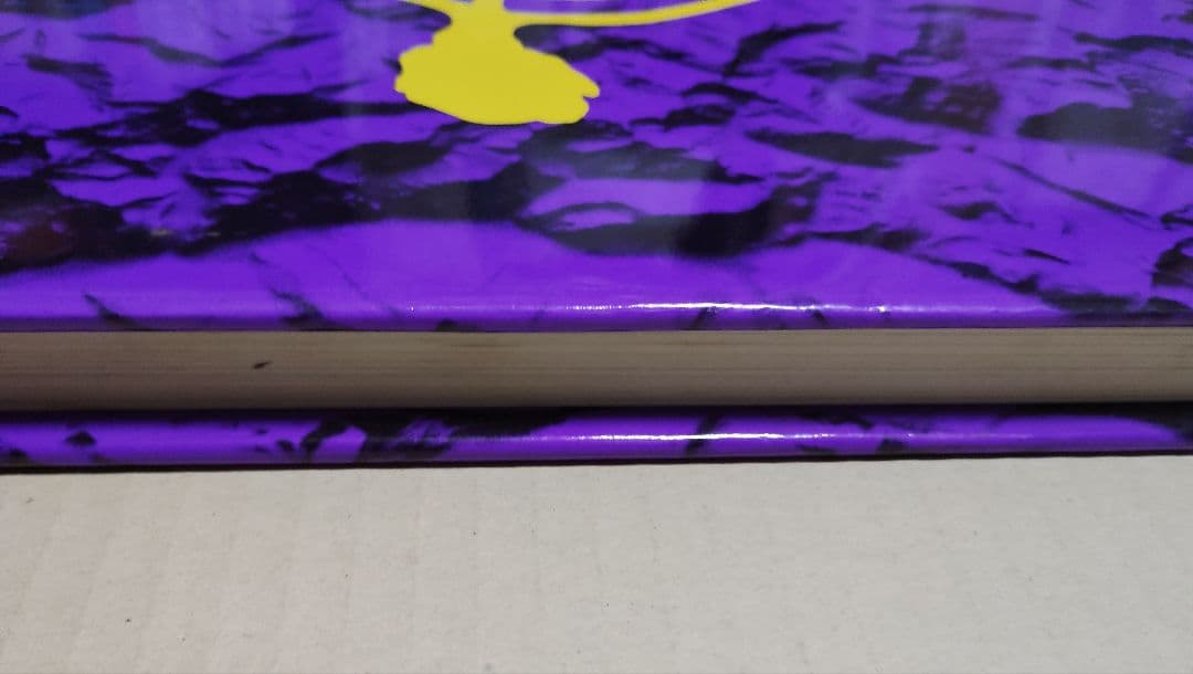 Magiciens de la terre 大地の魔術師たち カタログ