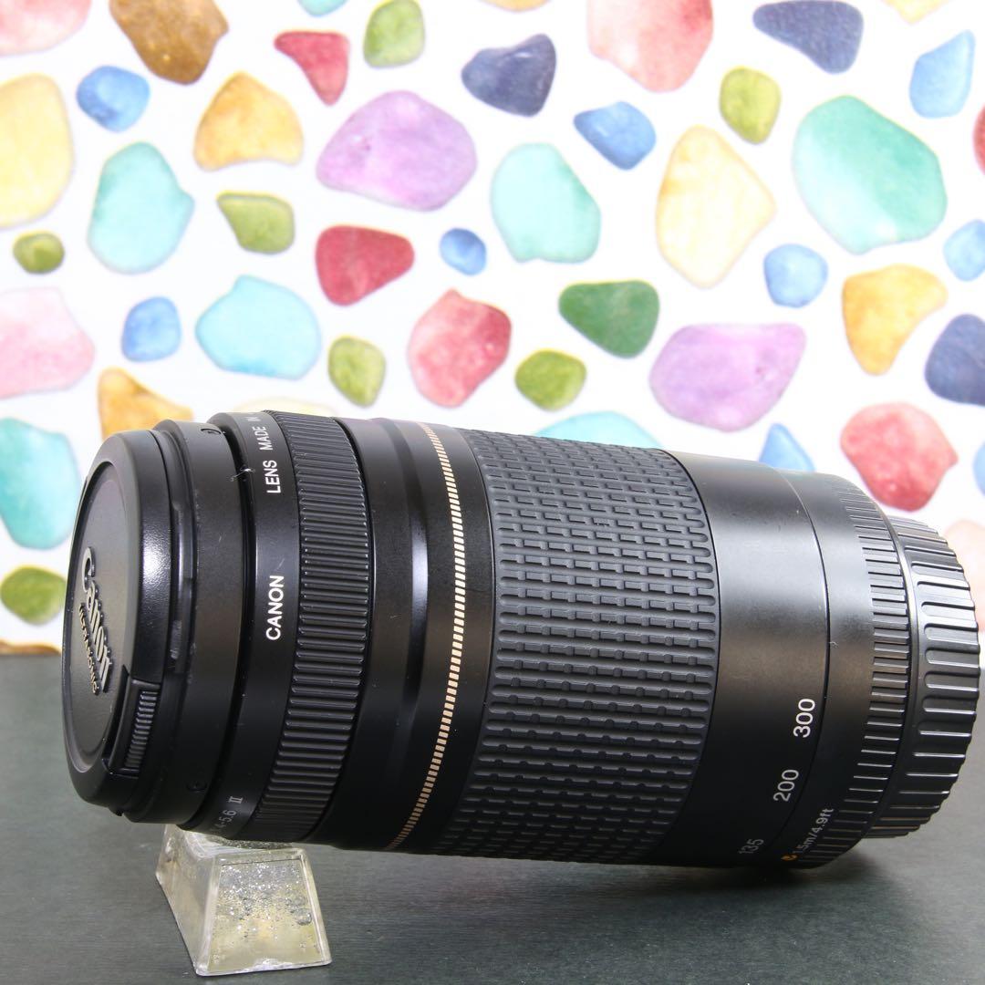 ♥︎◇やっぱり純正レンズ♪ ◇Canon 75-300mm USM ◇望遠♪
