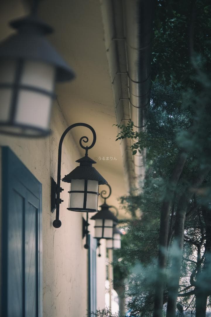 木村文乃使用モデル！Leica Elmarit 90mm F2.8オールドレンズ