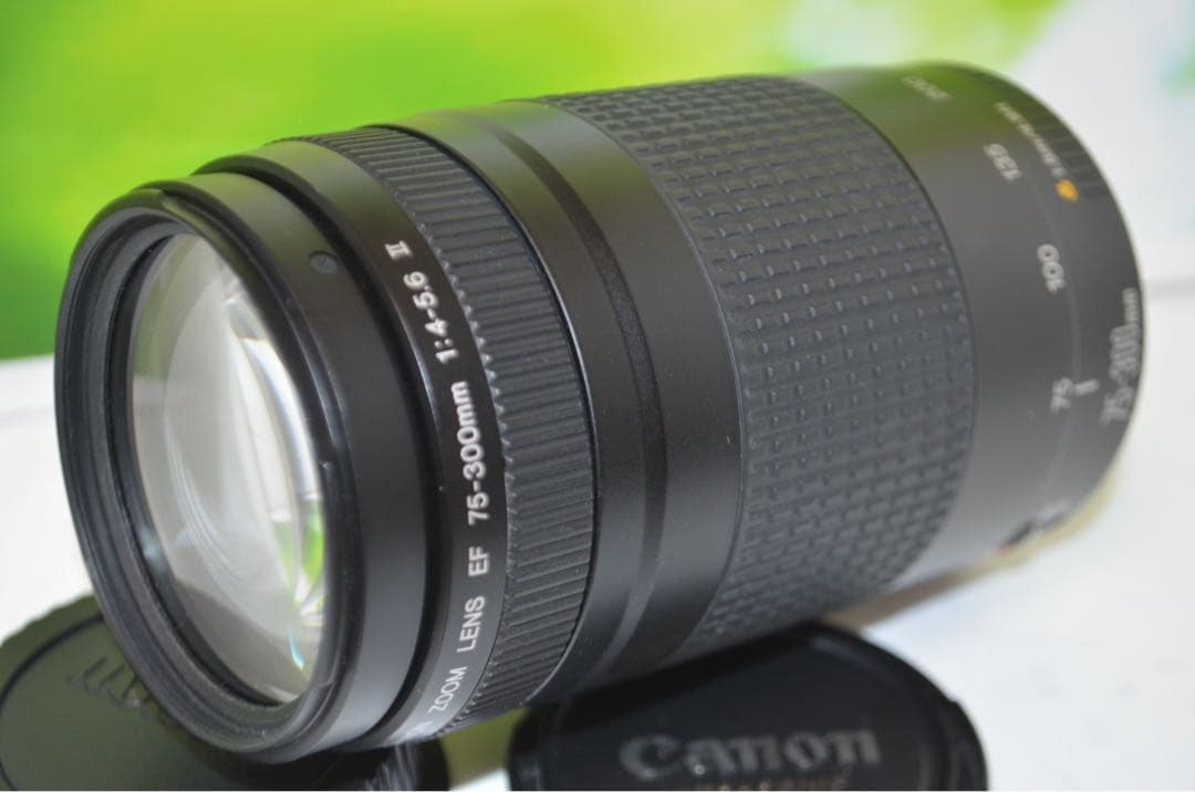 300mm超望遠レンズ★CANON EF 75-300mm
