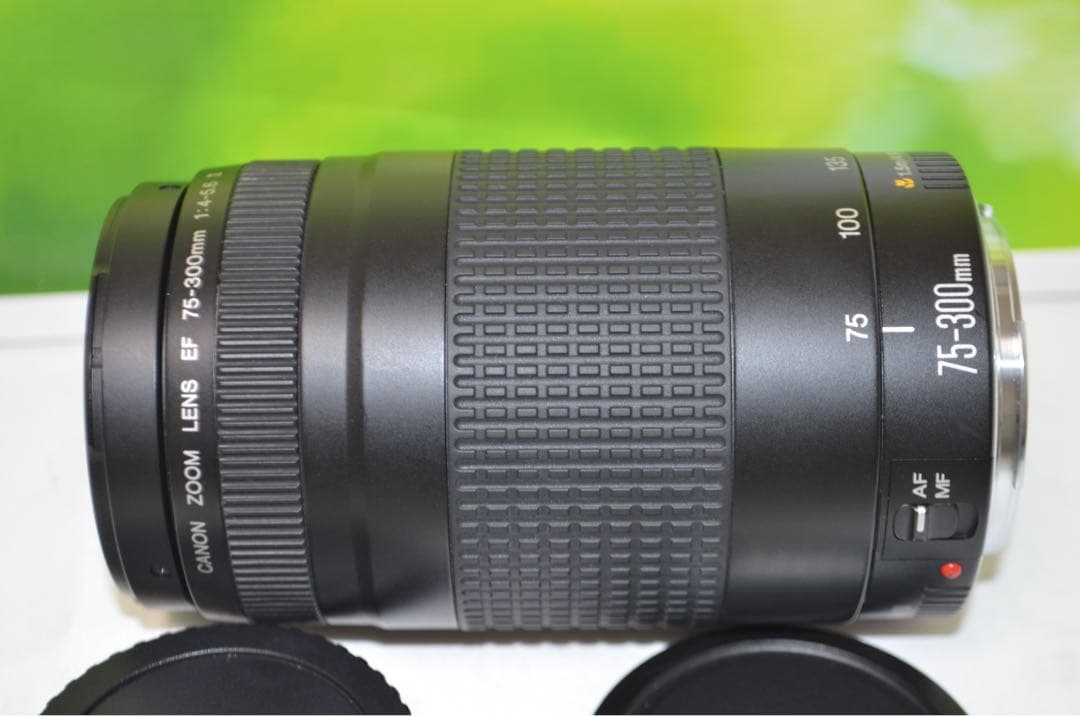300mm超望遠レンズ★CANON EF 75-300mm