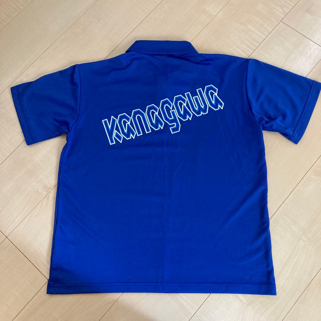 64） 国体ポロシャツ 国民体育大会 神奈川県 - メルカリ