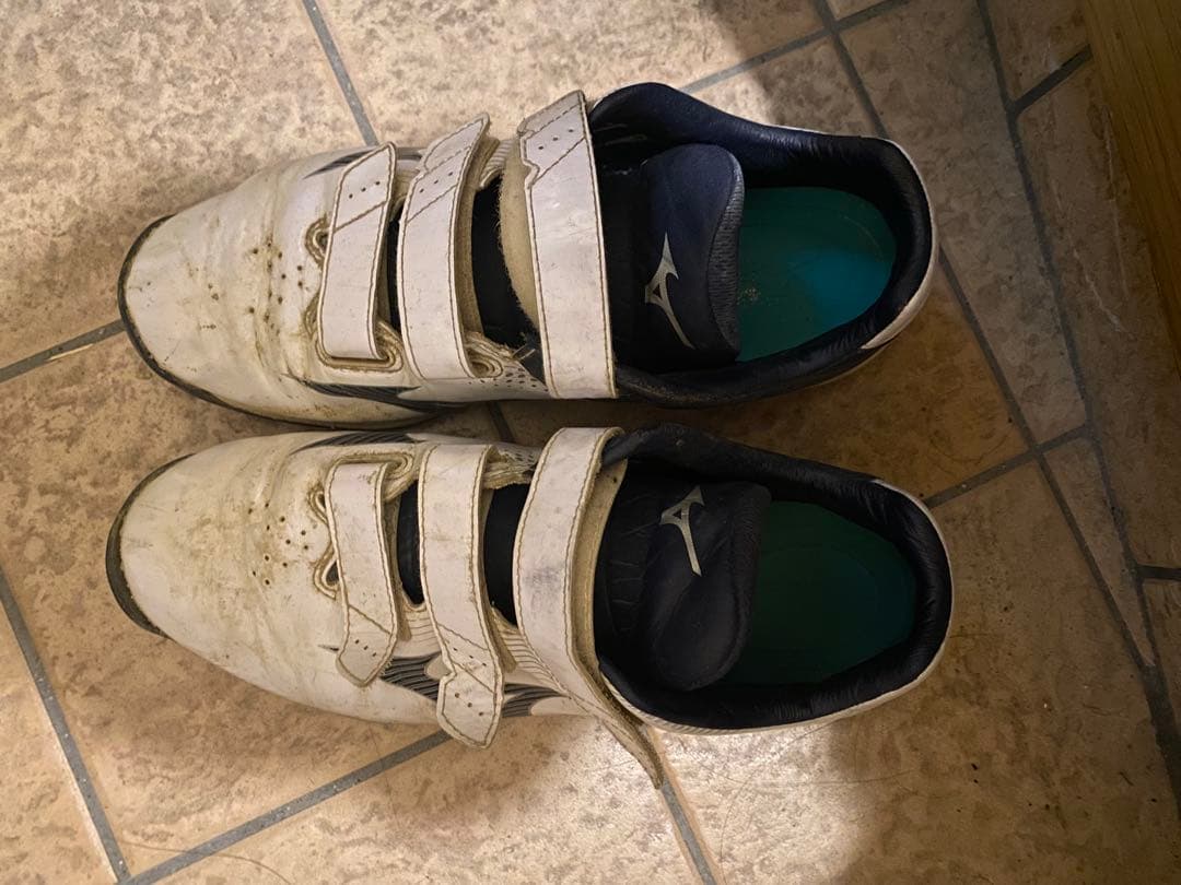 ウェア類 ZX EVO V3 TOP LS FIA SFI｜Japan official｜alpinestars アルパイン