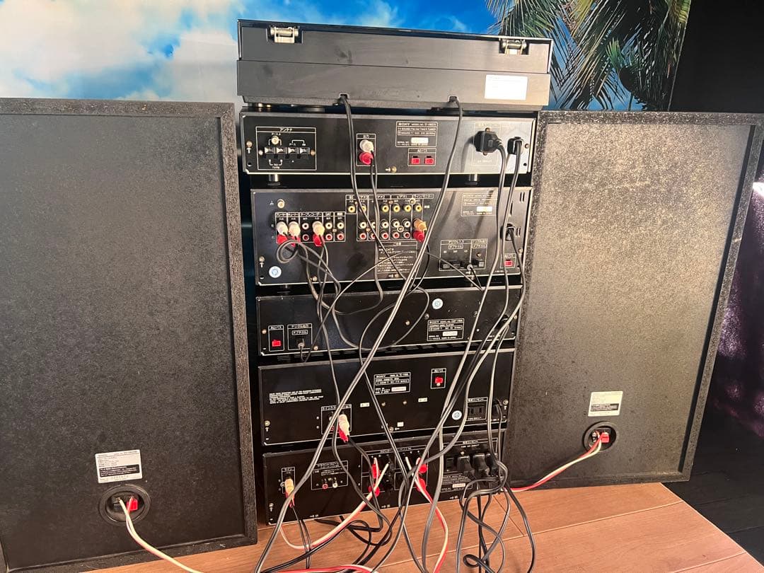 希少内蔵BT変更可能SONYリバティ LBT-V925 中古品レコード付き美品1