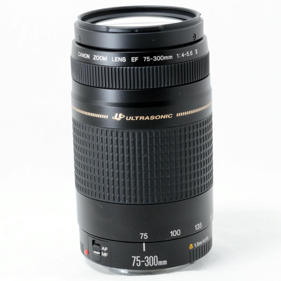 ⭐️美品⭐️Canon キャノン EF 75-300mm F4-5.6 ⅡUSM
