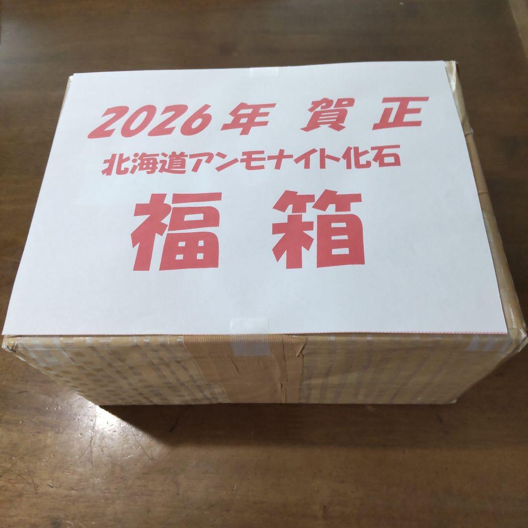 2026年新春 北海道アンモナイト化石の福箱＋知識資料4点 その1