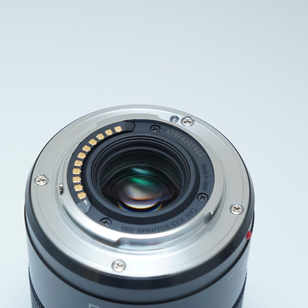 レンズ(単焦点) Panasonic LUMIX G MACRO 30mm/F2.8