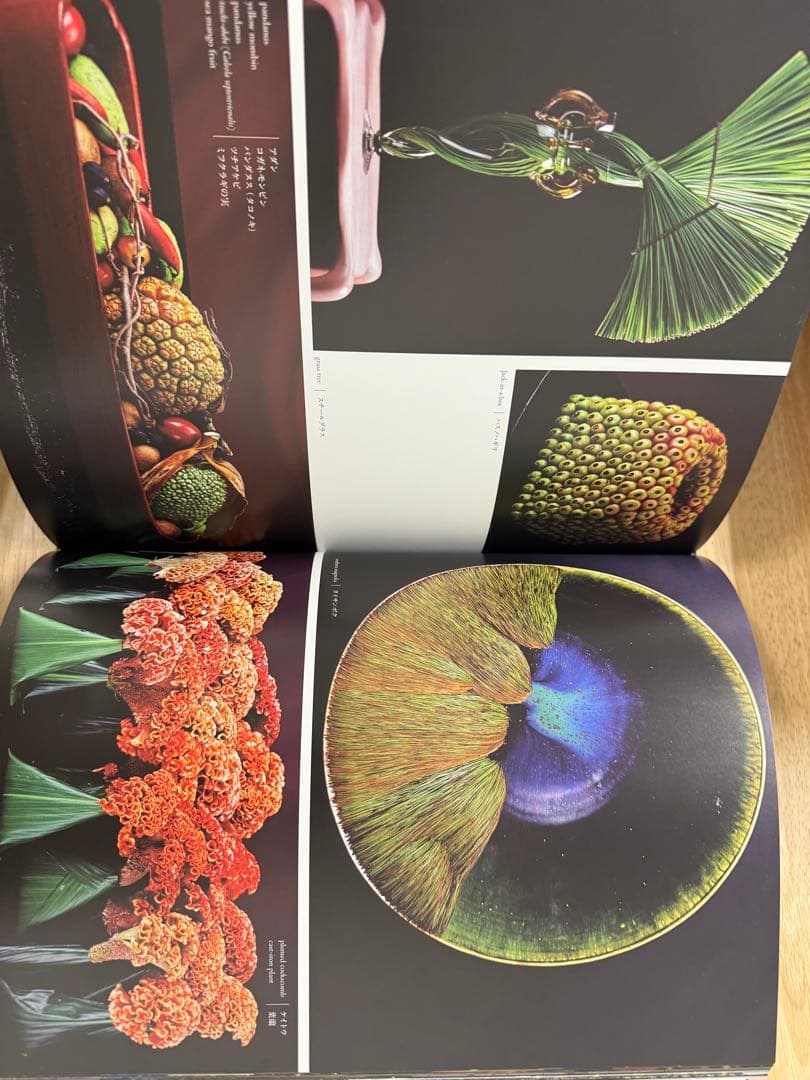 DANIEL OST in JAPAN アートブック - メルカリ