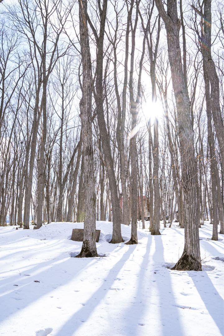 TAMRON 28-75mm F2.8 Di III RXD ソニーEマウント