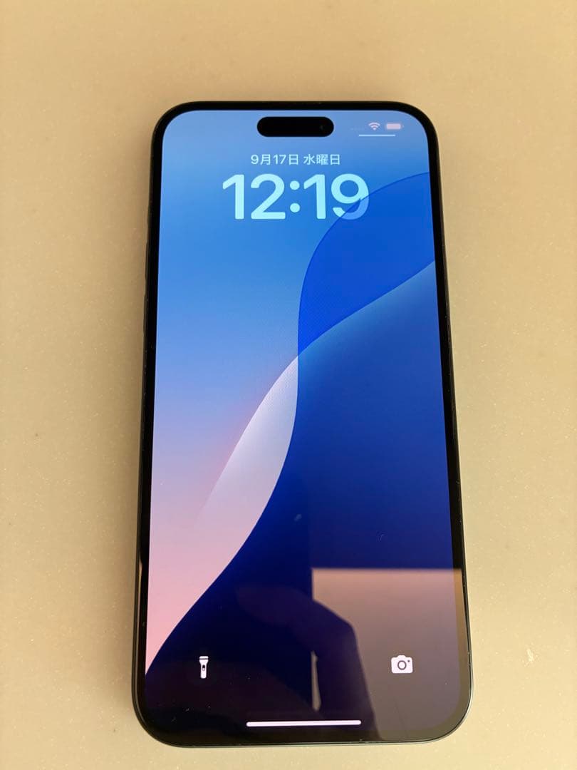 【祝日セール】iPhone 15 Plus ジャンク品