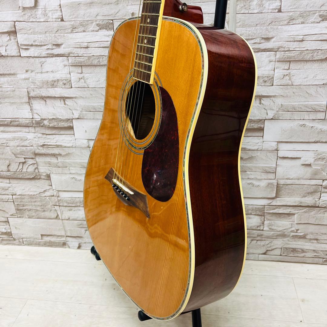 Elioth エリオス B305NA アコースティックギター - メルカリ