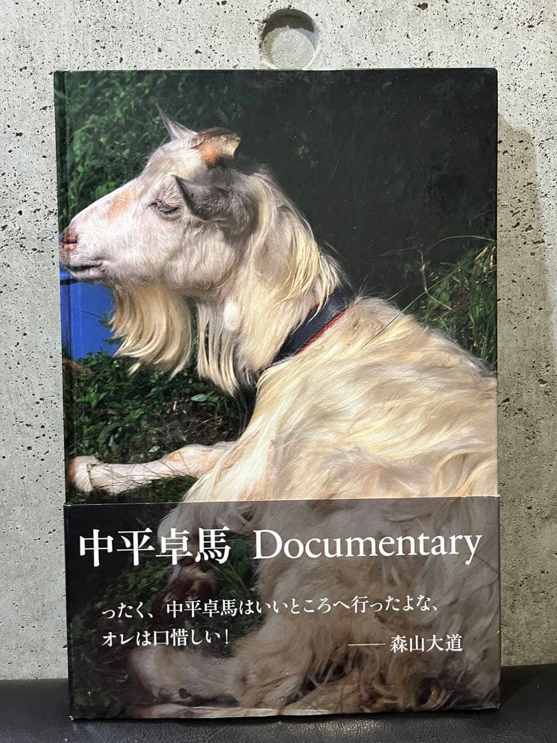 中平卓馬『Documentary』 Documentary - 中平卓馬| moom bookshop - 藝術書籍與雜誌