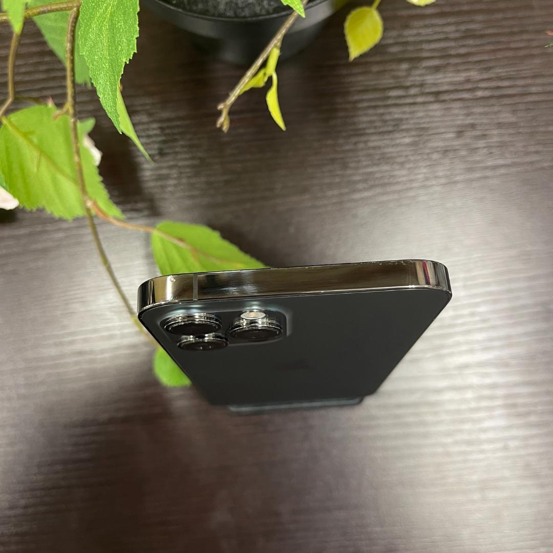 iPhone 12Promax 256GB 国内SIMフリー 送料無料