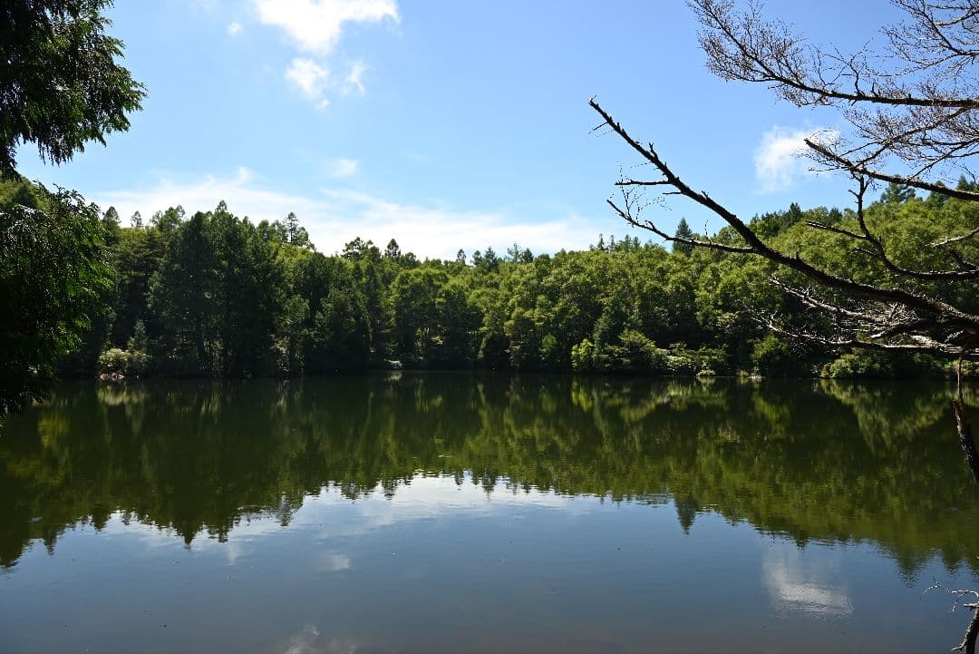 【Nikon Zマウント】NIKKOR Z 24-70mm f/4 S 美品