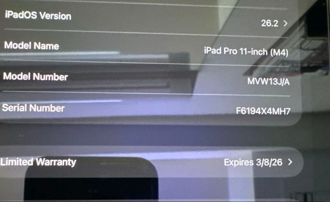 【極美品】iPadPro 11インチ(M4)WiFi&Cellular256GB