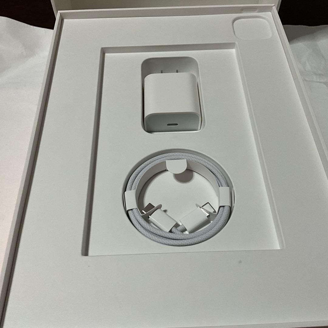 iPad Pro 11inch Cellular 256GB ペン付