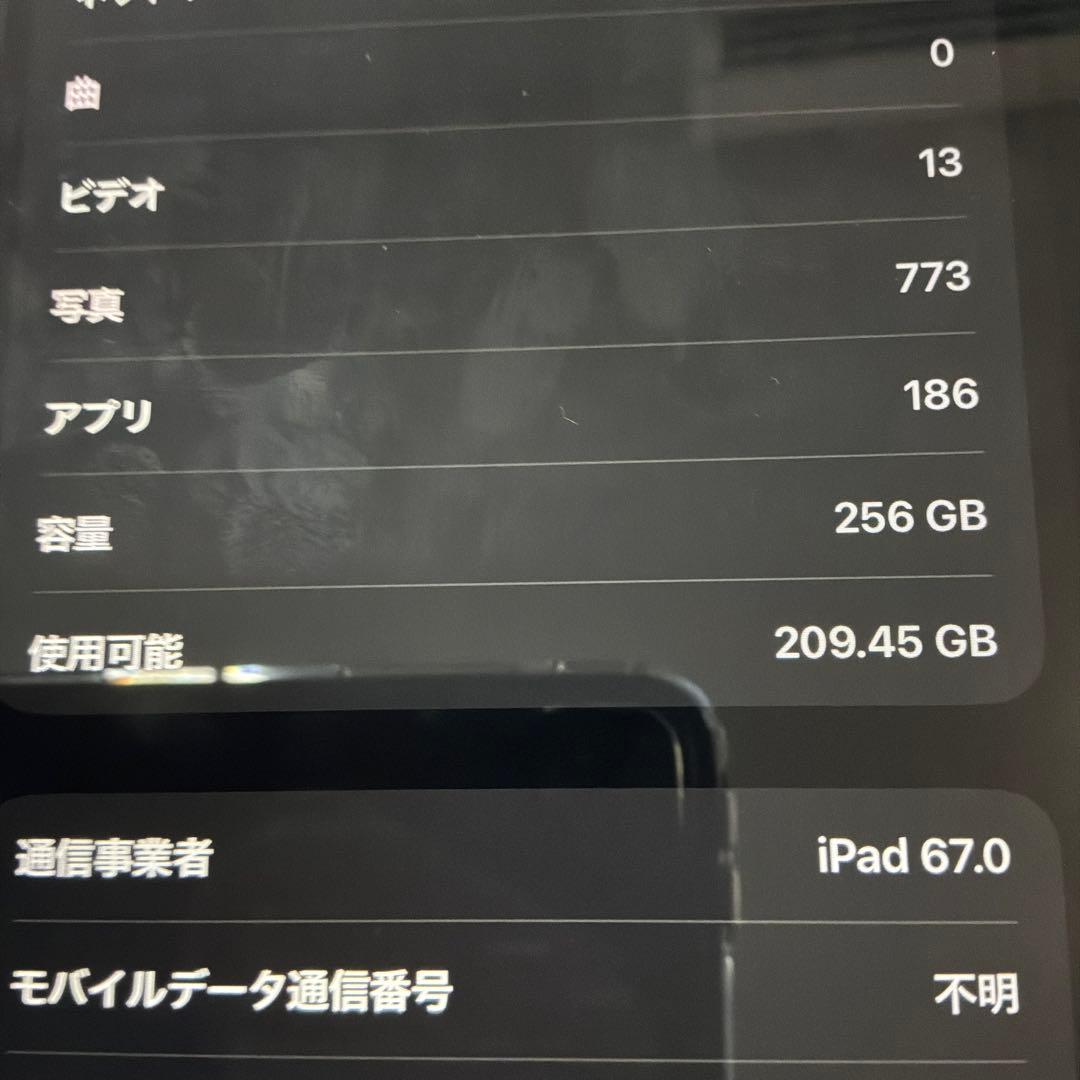 iPad Pro 11inch Cellular 256GB ペン付