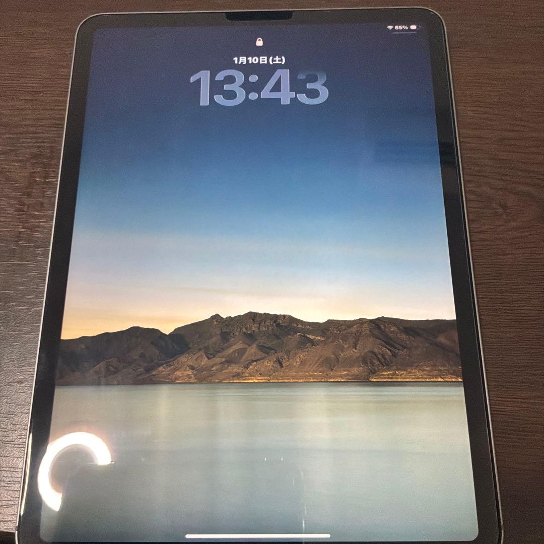 iPad Pro 11inch Cellular 256GB ペン付