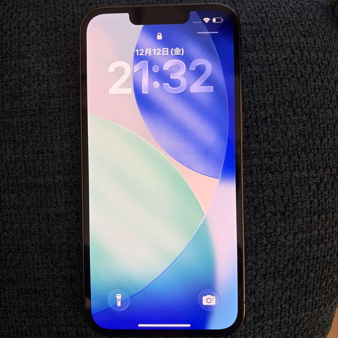 iPhone 13 Pro 512GBアルパイングリーン　本体ジャンク扱い