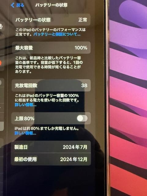 iPad mini A17pro,256GB,cellularパープル おまけ有