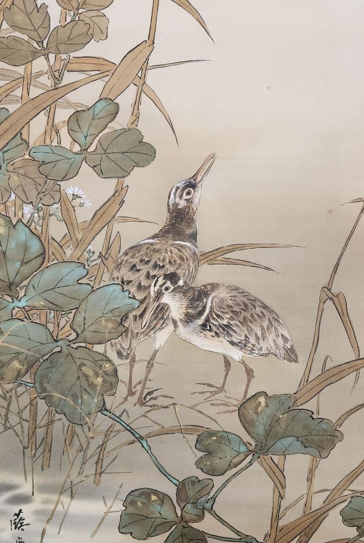 月下鴨図】団藍舟 2671 満月カモ 共箱 掛け軸 肉筆 - メルカリ