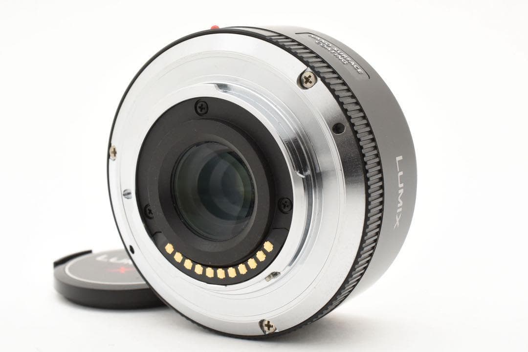 パナソニック LUMIX G X VARIO H-PS14042