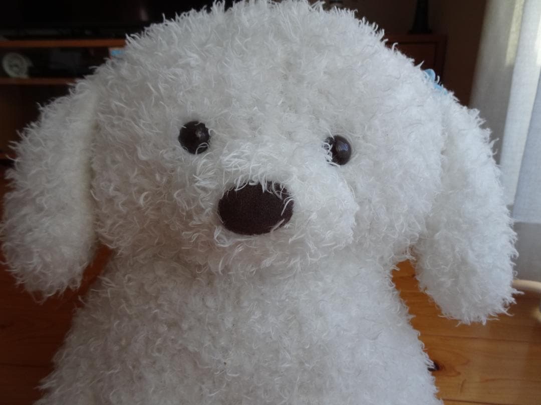 モコフィー ビッグ ぬいぐるみ トイプードル 白 ホワイト 大きい BIG