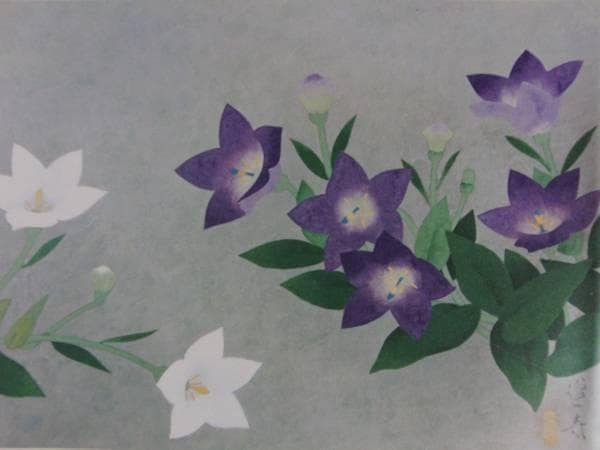 山口蓬春、桔梗、額装画版集より、版上サイン、限定、新品額装 - メルカリ