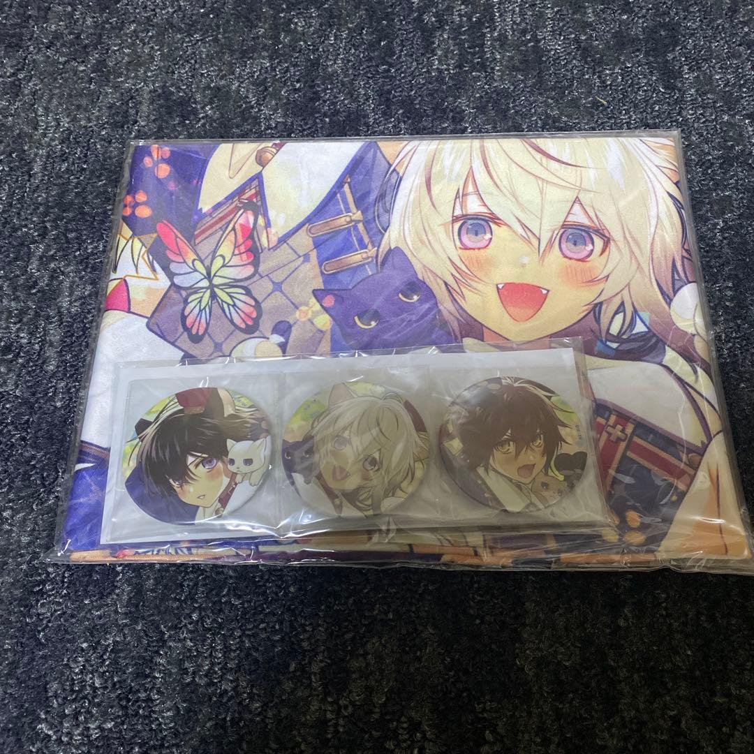 2点 DIVA カイト 缶バッジ 初音ミク 東京駅 六角 缶バッジ KAITO