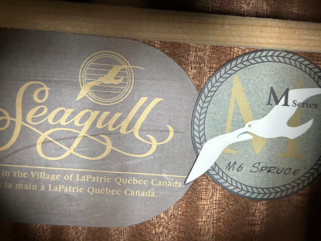 シーガル M6 スプルース アコースティックギター