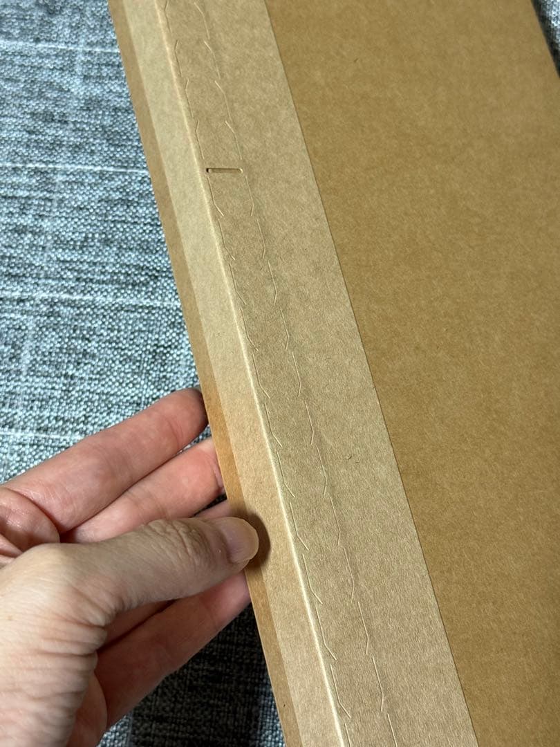 iPhone Pocket by ISSEY MIYAKE ショート シナモン