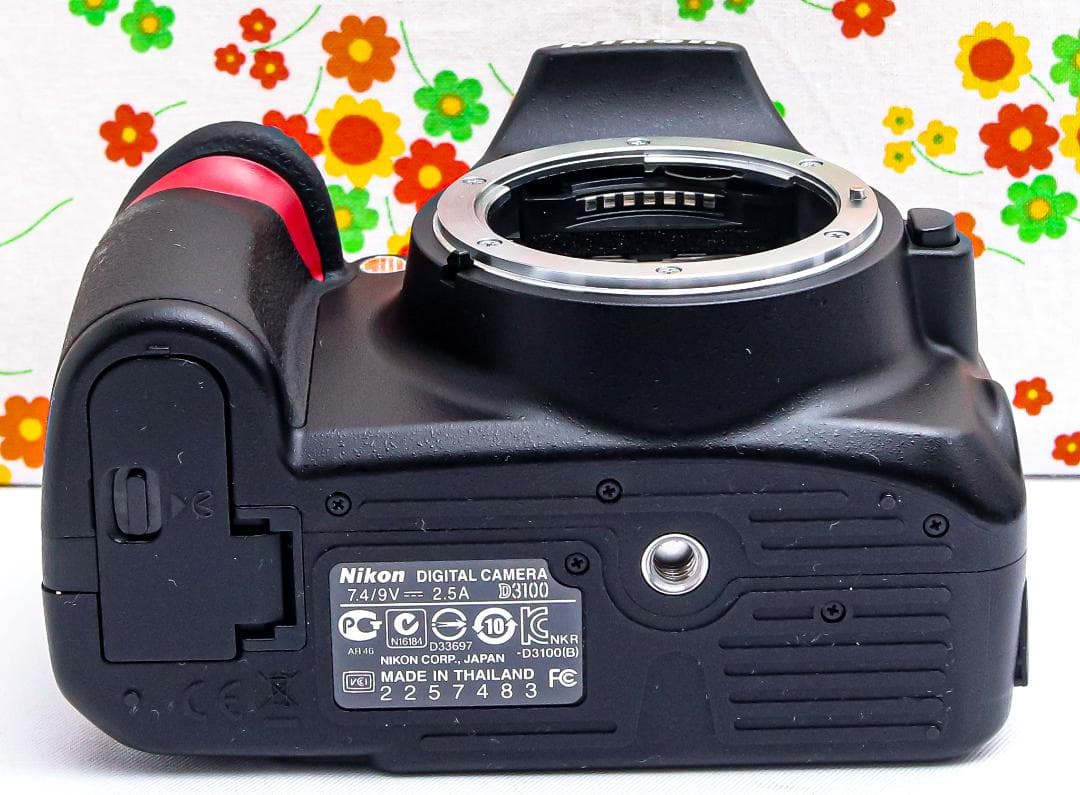 ニコン Nikon D3100☆スマホに転送♪☆手振れ補正付き☆初心者歓迎