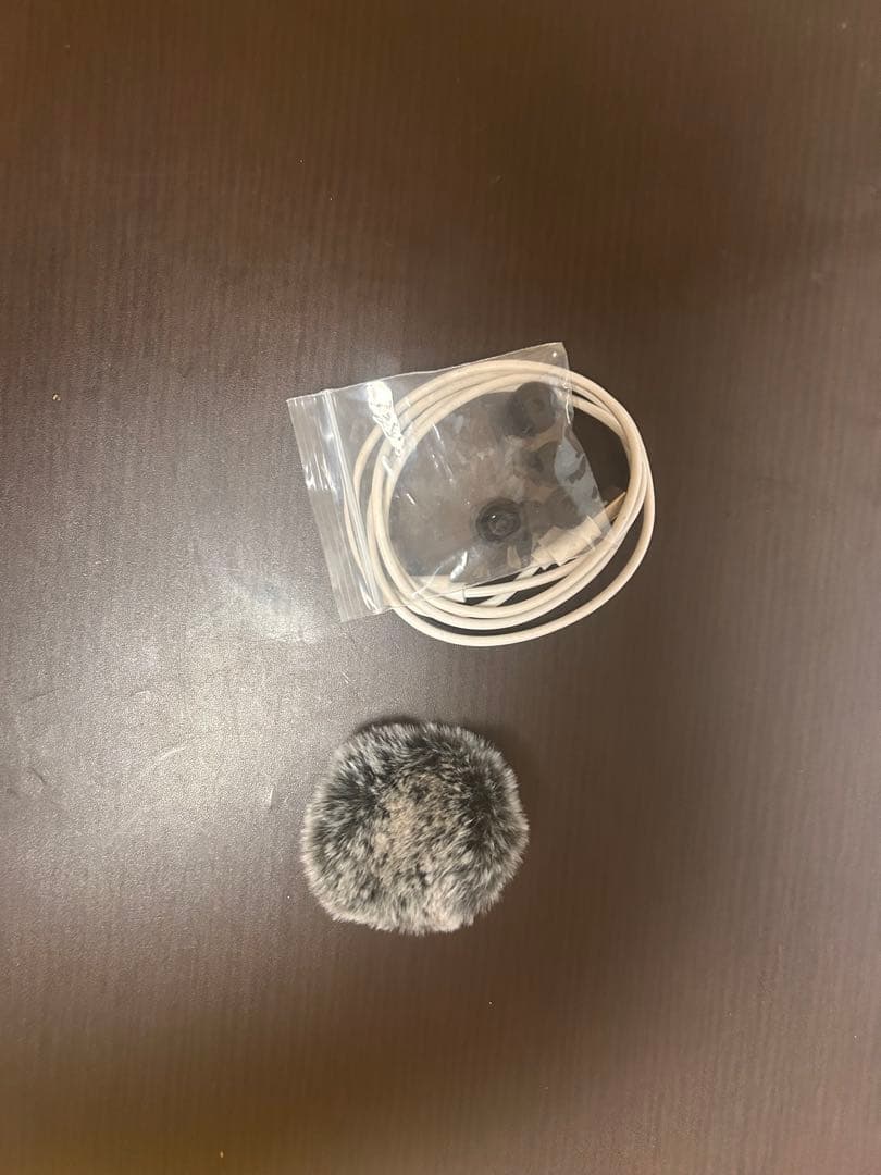 骨伝導集音器ネズ3